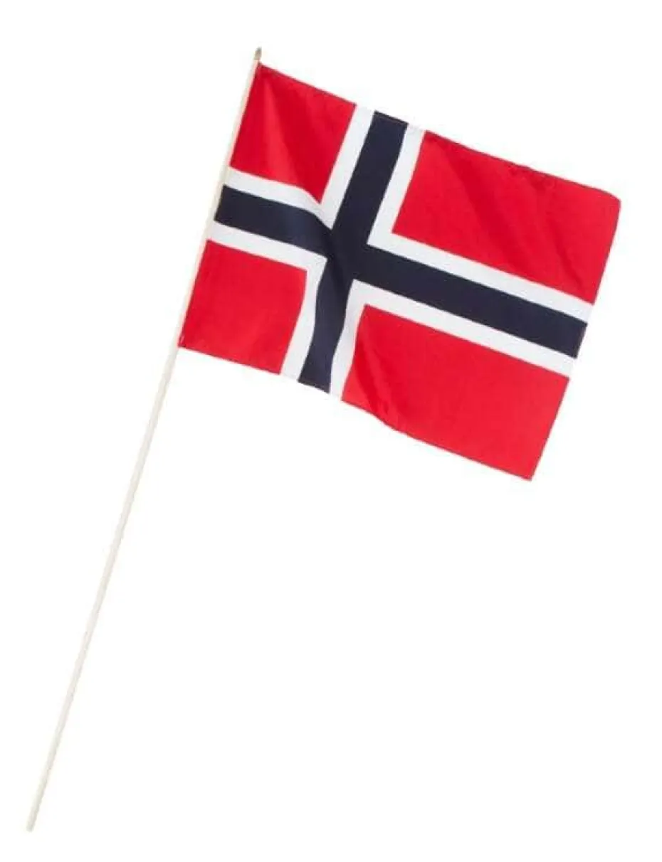 17. mai flagg