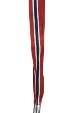 17. mai russefløyte