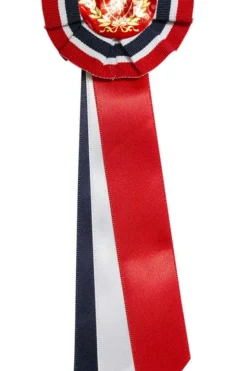 17. mai sløyfe
