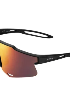 Alpina Sjusøen multisportbrille