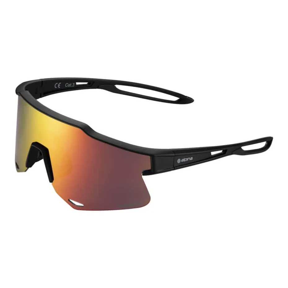 Alpina Sjusøen multisportbrille