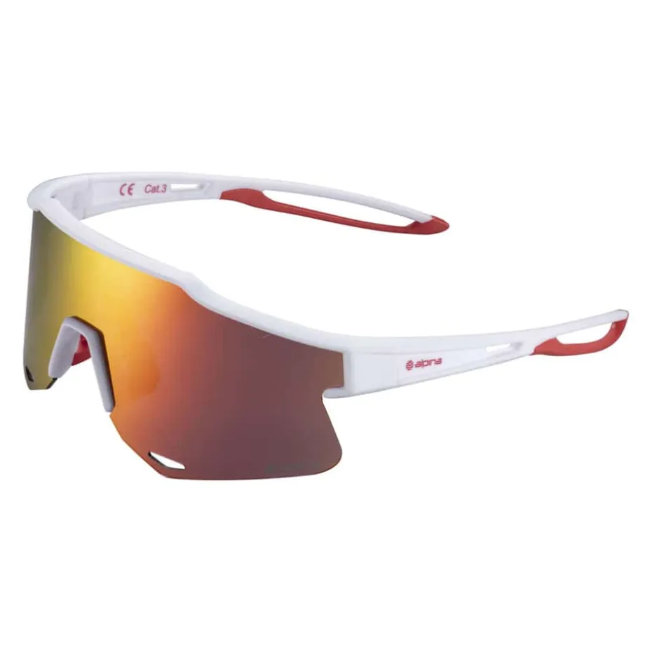 Alpina Sjusøen multisportbrille