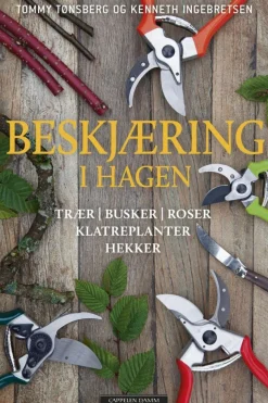 Beskjæring i hagen