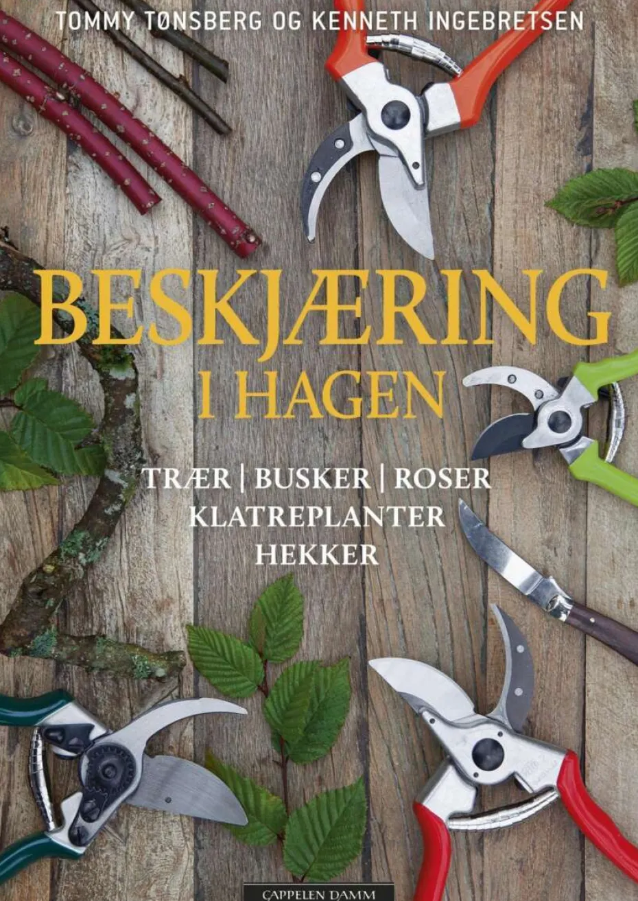 Beskjæring i hagen