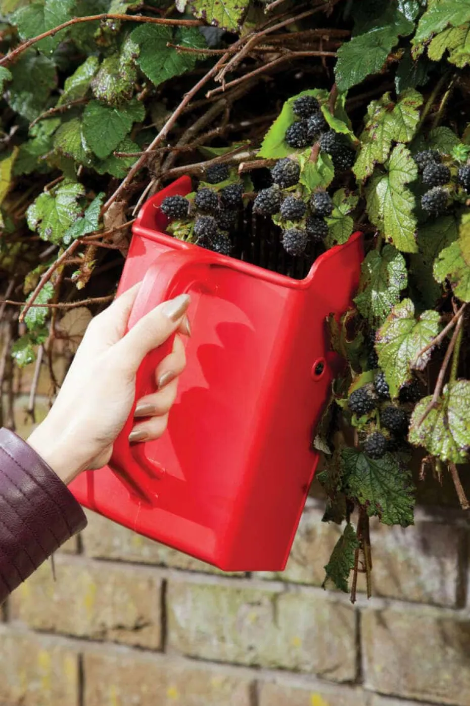 Bærplukker med plastgafler