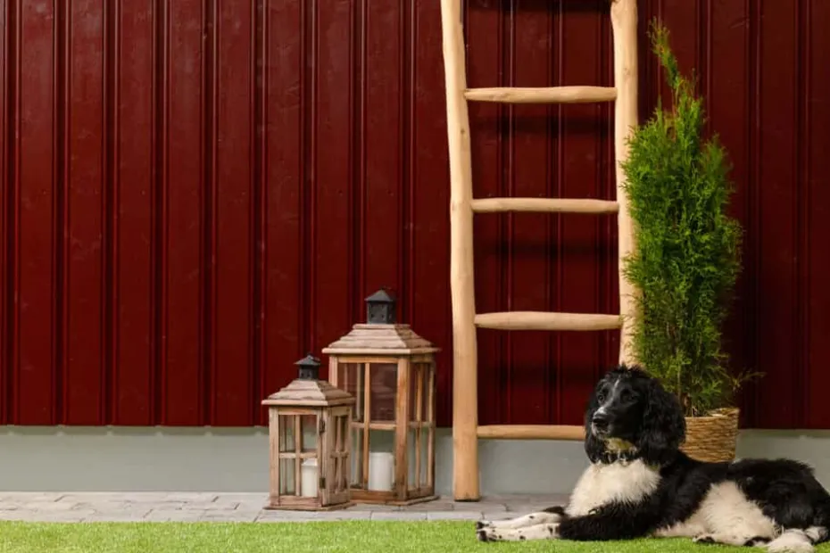 Butinox Futura dekkbeis