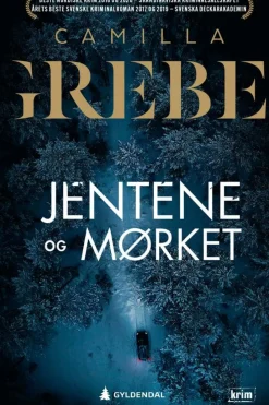 Camilla Grebe: Jentene og mørket