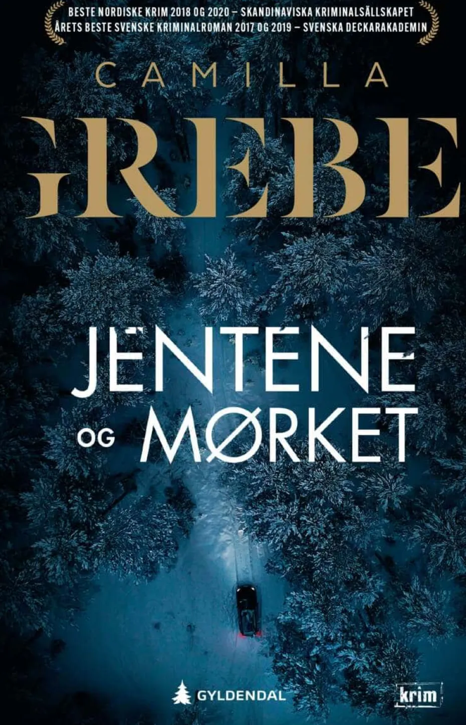Camilla Grebe: Jentene og mørket