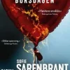 Carina Bergfeldt og Sofie Sarenbrant: Bursdagen