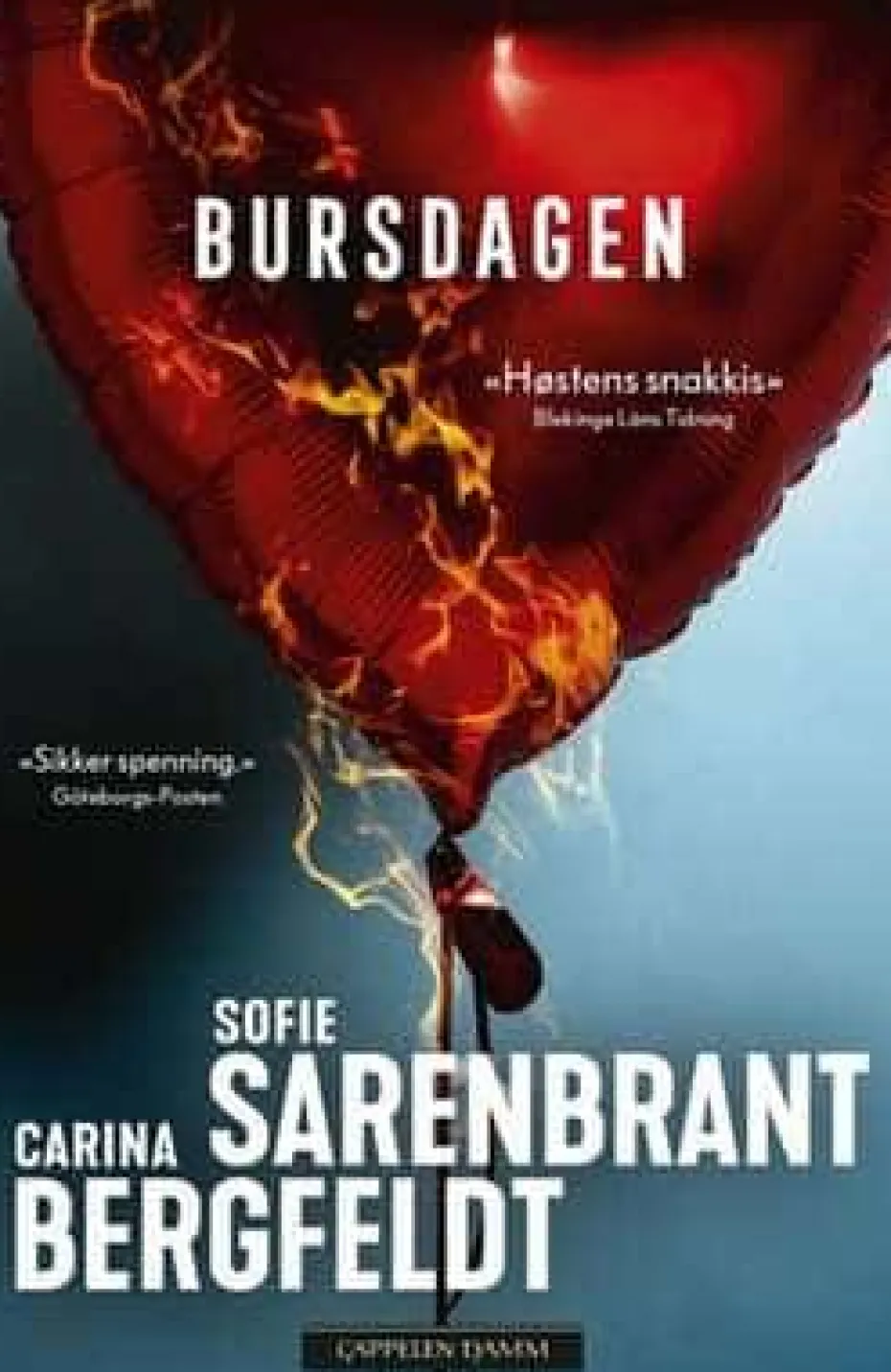 Carina Bergfeldt og Sofie Sarenbrant: Bursdagen