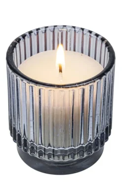 Citronella mygglys