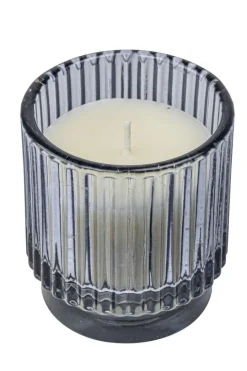 Citronella mygglys