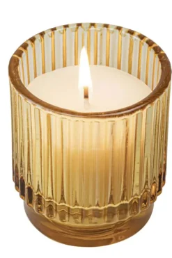 Citronella mygglys