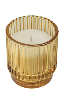 Citronella mygglys