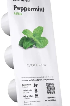 Click&Grow Smart Garden refill peppermynte 3-pk