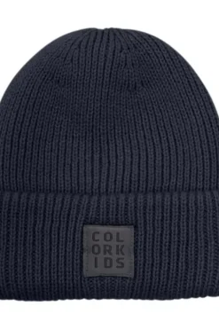 Color Kids lue barn