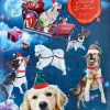 Dogman Adventskalender Hund