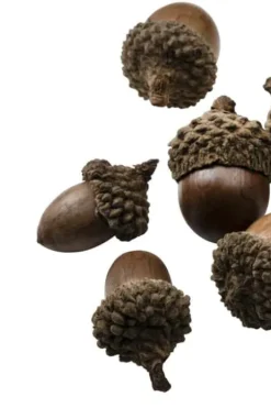 Eikenøtter dekor 200g