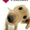Elsker hunder