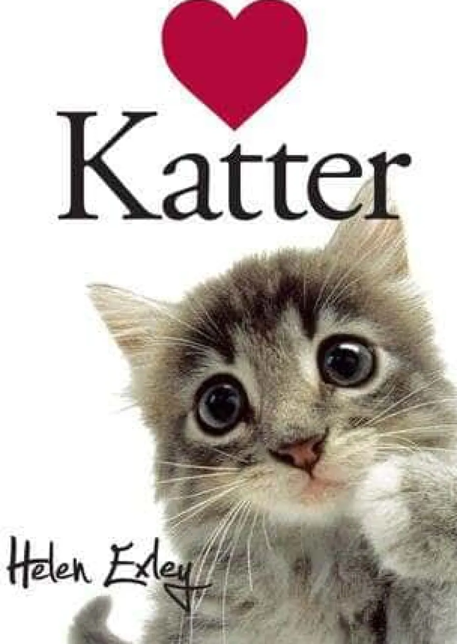 Elsker katter