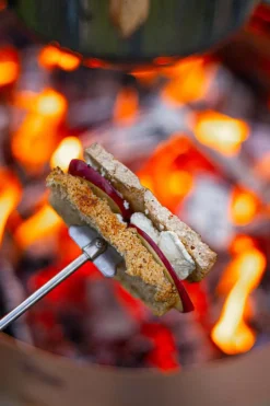 Espegard grillspyd