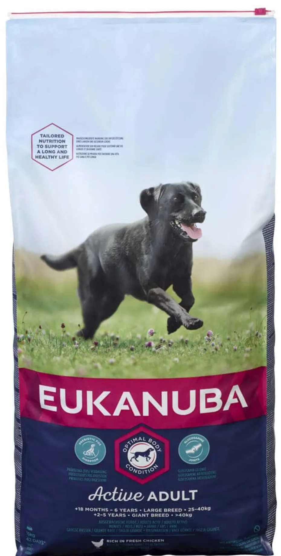 Eukanuba Dog Adult Large 15kg