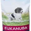Eukanuba Dog Adult Medium 15kg