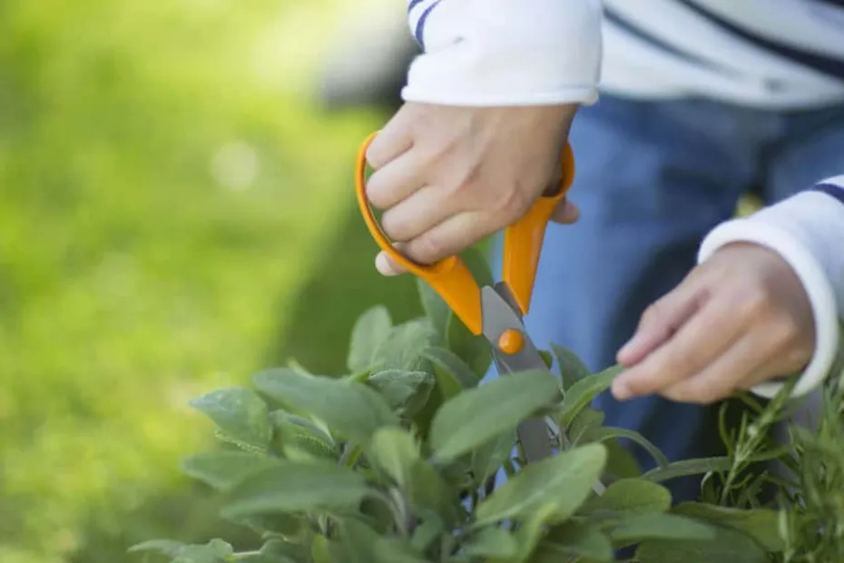 Fiskars S90 universalsaks