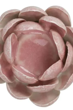 Florus Telysholder