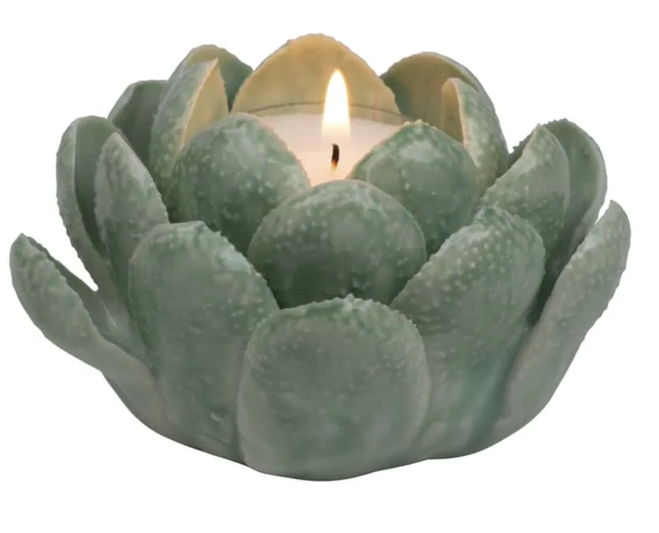 Florus Telysholder