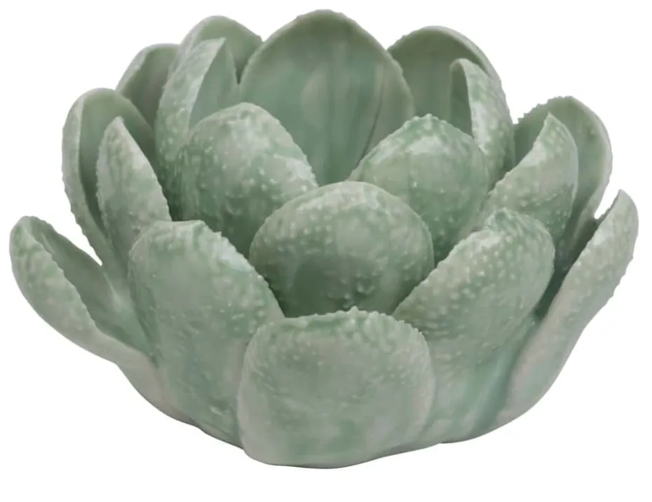 Florus Telysholder