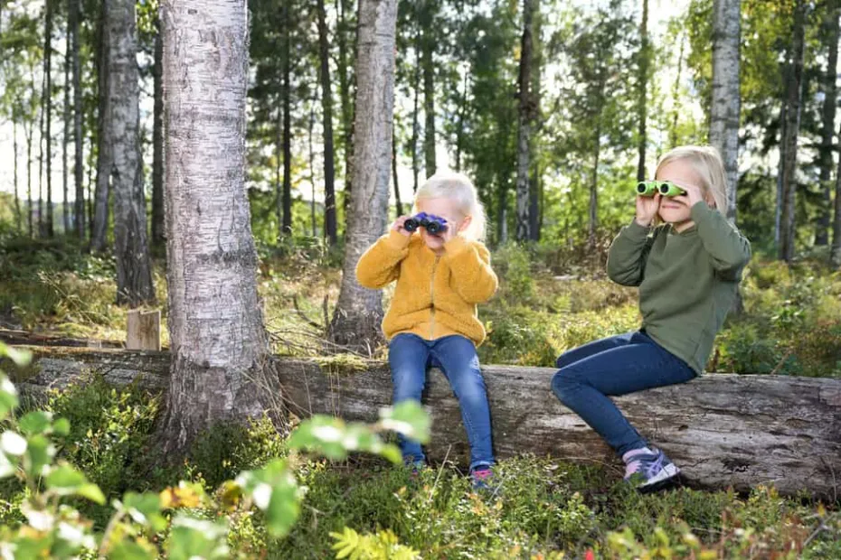 Focus junior 6x21 kikkert