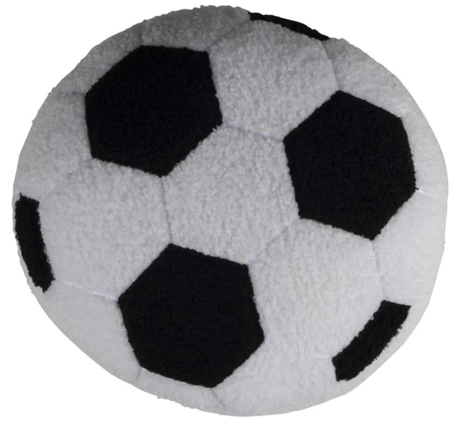 Fotballpute