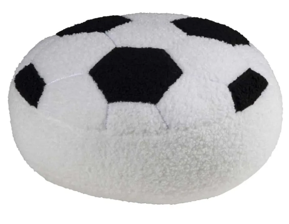 Fotballpute
