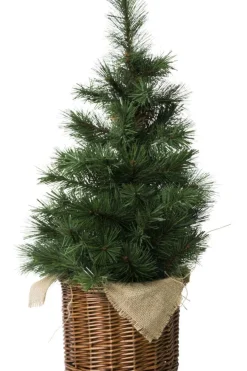 Furubusk i flettetkurv 50cm