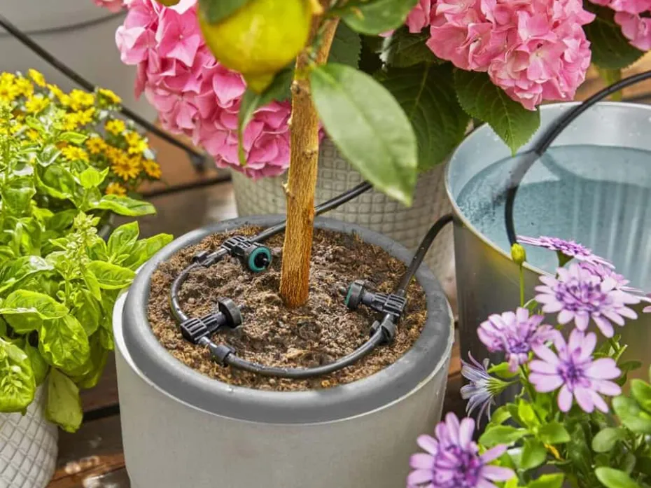 GARDENA Aquabloom vanningssett