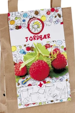 Gavebag såsett m/jordbærfrø