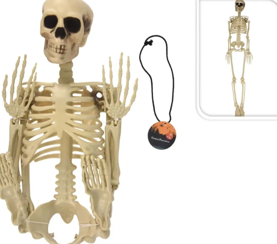 Halloween skjelett 90 cm