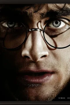 Harry Potter™ 3D bilde Harry Potter vs Voldemort