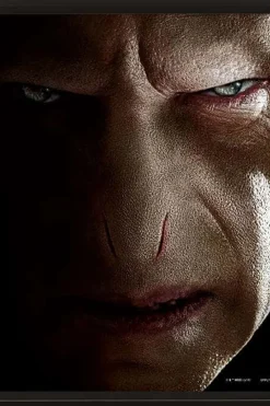Harry Potter™ 3D bilde Harry Potter vs Voldemort