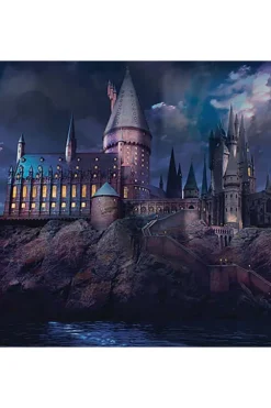 Harry Potter™ Hogwarts plakat