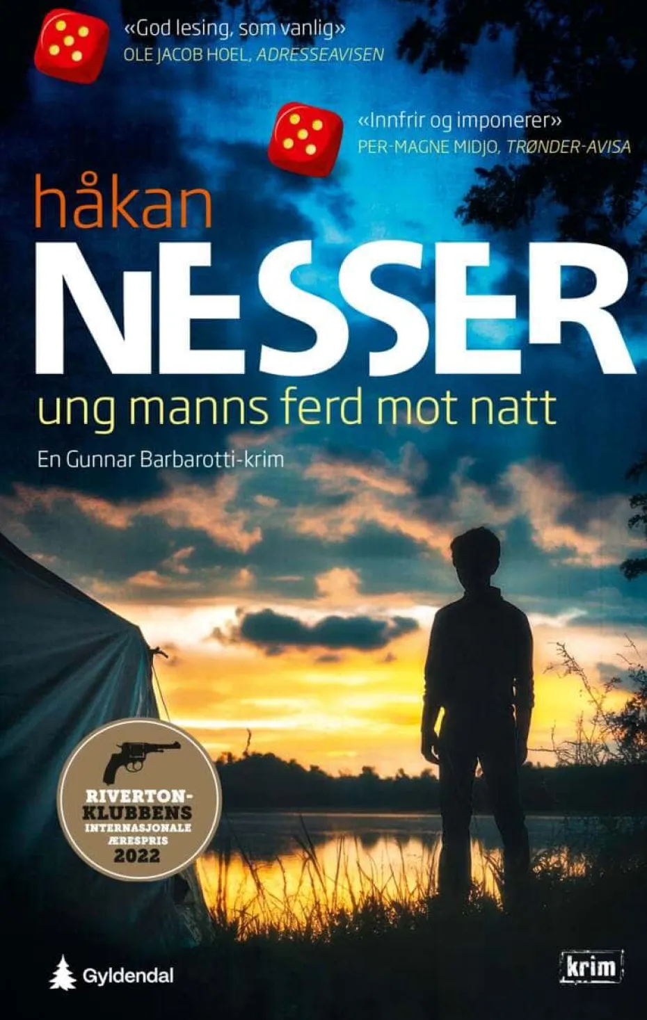Håkan Nesser: Ung manns ferd mot natt