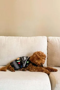 Hudson hundegenser med julemotiv