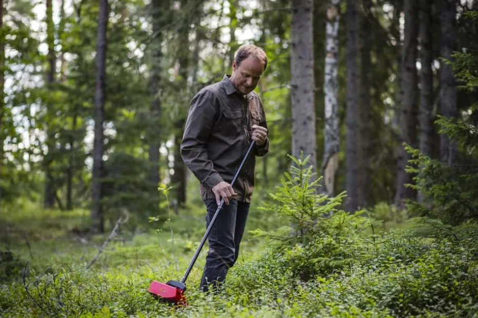 Jonas bærplukker