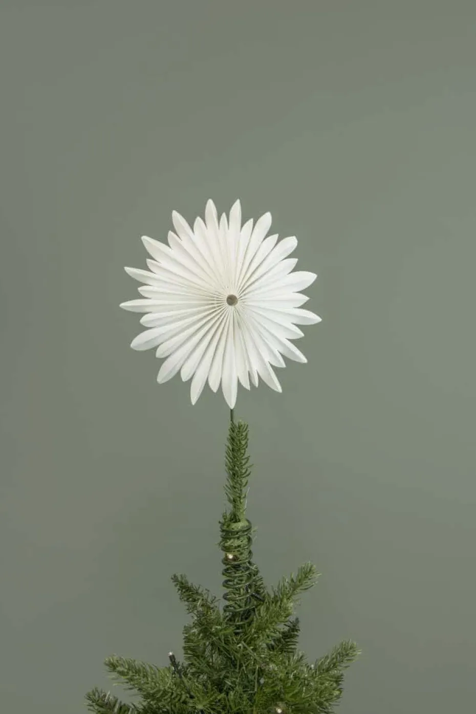 Juletrestjerne rund