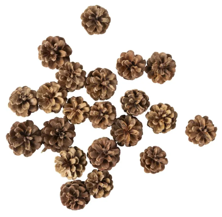 Kongler dekor 200g
