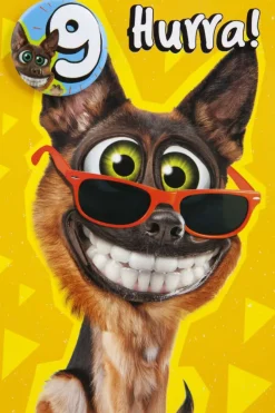 Kort 9 år Hund