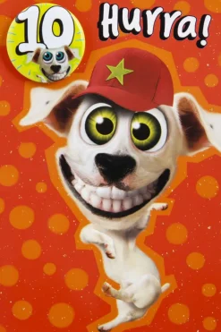 Kort 10 år Hund