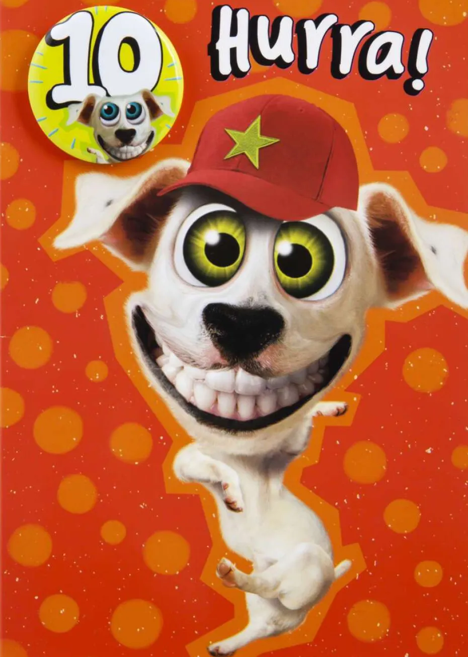 Kort 10 år Hund