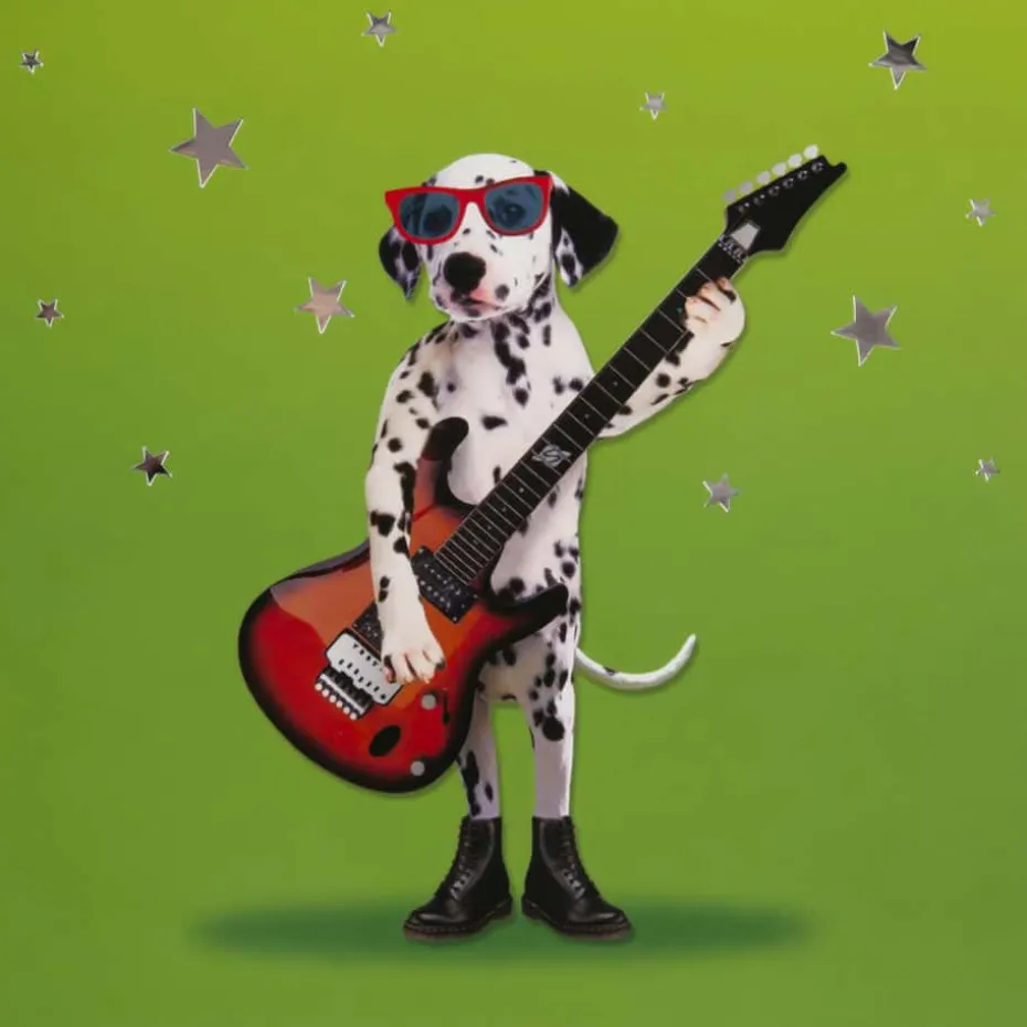 Kort Dalmantiner med gitar